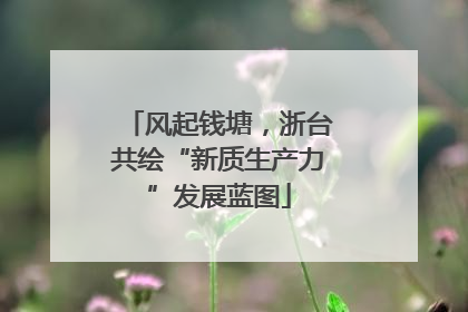 风起钱塘，浙台共绘“新质生产力”发展蓝图