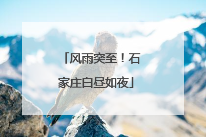 风雨突至！石家庄白昼如夜