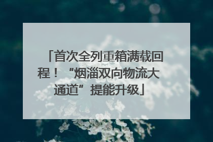 首次全列重箱满载回程！“烟淄双向物流大通道”提能升级