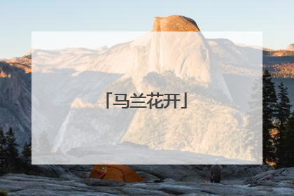 马兰花开
