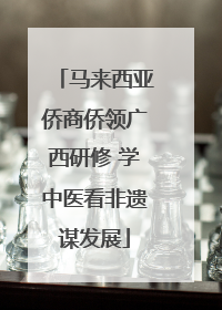 马来西亚侨商侨领广西研修 学中医看非遗谋发展