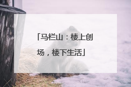 马栏山：楼上创场，楼下生活