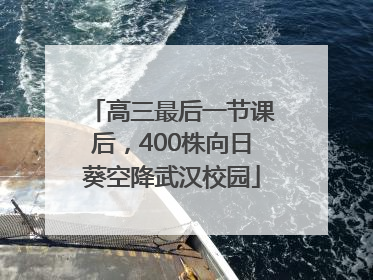 高三最后一节课后，400株向日葵空降武汉校园