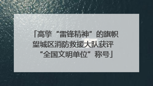 高擎“雷锋精神”的旗帜 望城区消防救援大队获评“全国文明单位”称号
