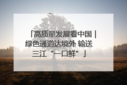 高质量发展看中国｜绿色通道达境外 输送三江“一口鲜”