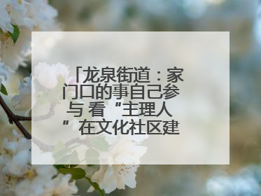 龙泉街道：家门口的事自己参与 看“主理人”在文化社区建设中大放异彩