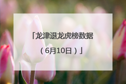 龙津退龙虎榜数据（6月10日）