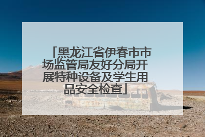 黑龙江省伊春市市场监管局友好分局开展特种设备及学生用品安全检查
