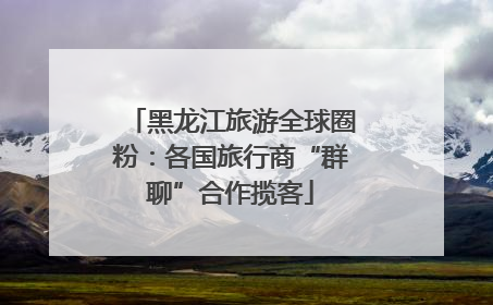 黑龙江旅游全球圈粉：各国旅行商“群聊”合作揽客