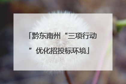 黔东南州“三项行动”优化招投标环境