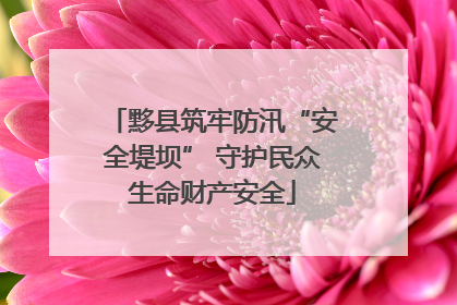 黟县筑牢防汛“安全堤坝” 守护民众生命财产安全
