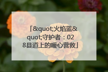 "火焰蓝"守护者：028县道上的暖心营救