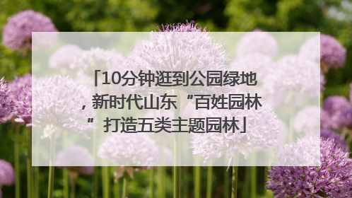10分钟逛到公园绿地，新时代山东“百姓园林”打造五类主题园林