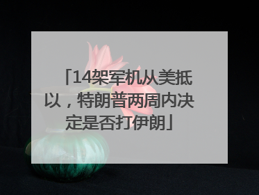14架军机从美抵以，特朗普两周内决定是否打伊朗