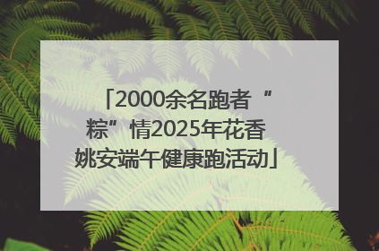 2000余名跑者“粽”情2025年花香姚安端午健康跑活动