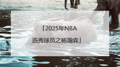 2025年NBA选秀球员之杨瀚森