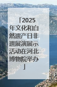 2025年文化和自然遗产日非遗展演展示活动在河北博物院举办