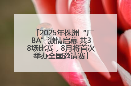 2025年株洲“厂BA”激情启幕 共38场比赛，8月将首次举办全国邀请赛