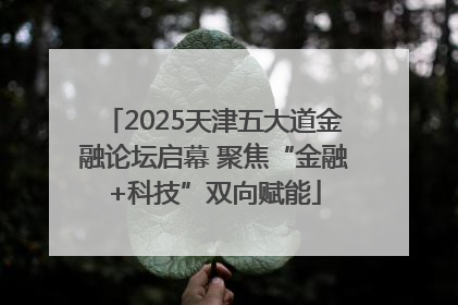 2025天津五大道金融论坛启幕 聚焦“金融+科技”双向赋能
