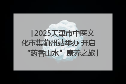 2025天津市中医文化市集蓟州站举办 开启“药香山水”康养之旅