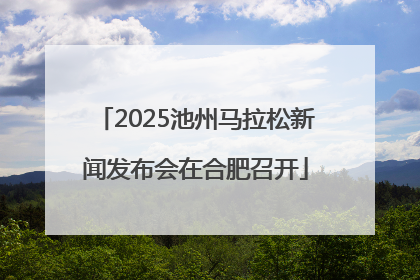 2025池州马拉松新闻发布会在合肥召开