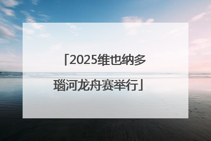 2025维也纳多瑙河龙舟赛举行