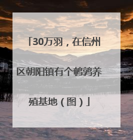 30万羽，在信州区朝阳镇有个鹌鹑养殖基地（图）