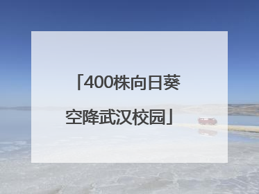 400株向日葵空降武汉校园