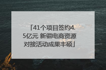 41个项目签约4.5亿元 新疆电商资源对接活动成果丰硕