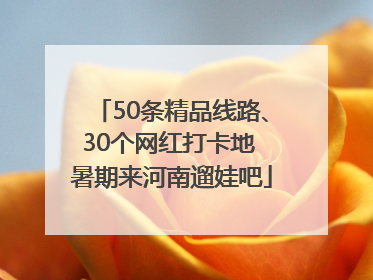 50条精品线路、30个网红打卡地 暑期来河南遛娃吧