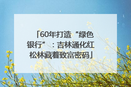 60年打造“绿色银行”：吉林通化红松林藏着致富密码