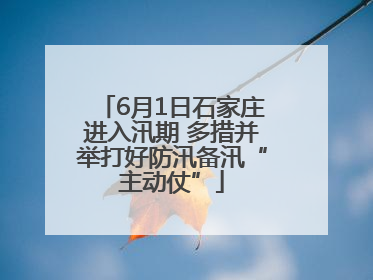 6月1日石家庄进入汛期 多措并举打好防汛备汛“主动仗”