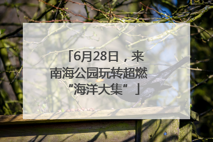 6月28日，来南海公园玩转超燃 “海洋大集”