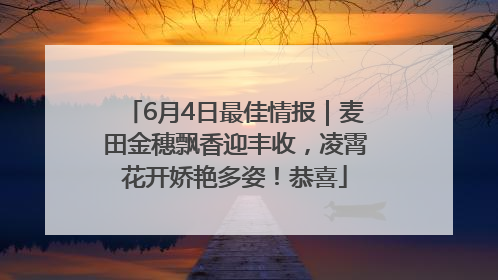 6月4日最佳情报｜麦田金穗飘香迎丰收，凌霄花开娇艳多姿！恭喜