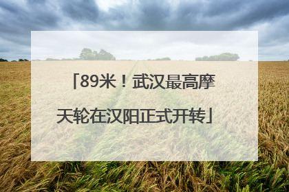 89米！武汉最高摩天轮在汉阳正式开转