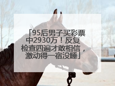 95后男子买彩票中2930万！反复检查四遍才敢相信，激动得一宿没睡