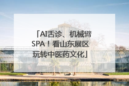 AI舌诊、机械臂SPA！看山东展区玩转中医药文化