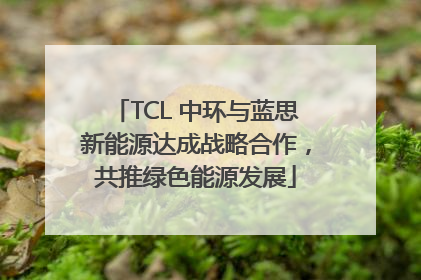 TCL 中环与蓝思新能源达成战略合作，共推绿色能源发展
